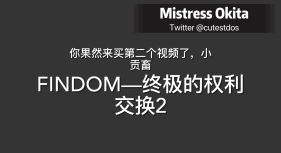 FINDOM—终极的权利交换 2