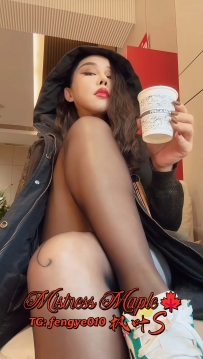 12.11-13深圳巡游